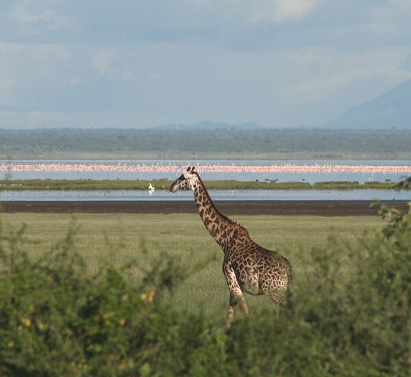 lake manyara