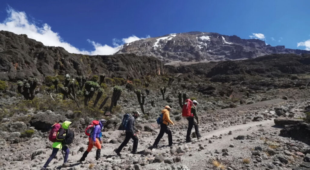lemosho route hikers